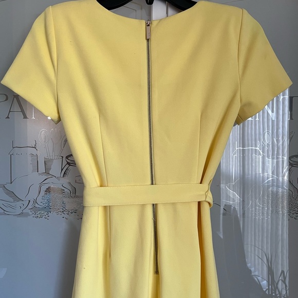 Calvin Klein Women's Yellow Ruffled Tulip-hem Short Sleeve Back Zip Crepe Dress - Picture 10 of 15